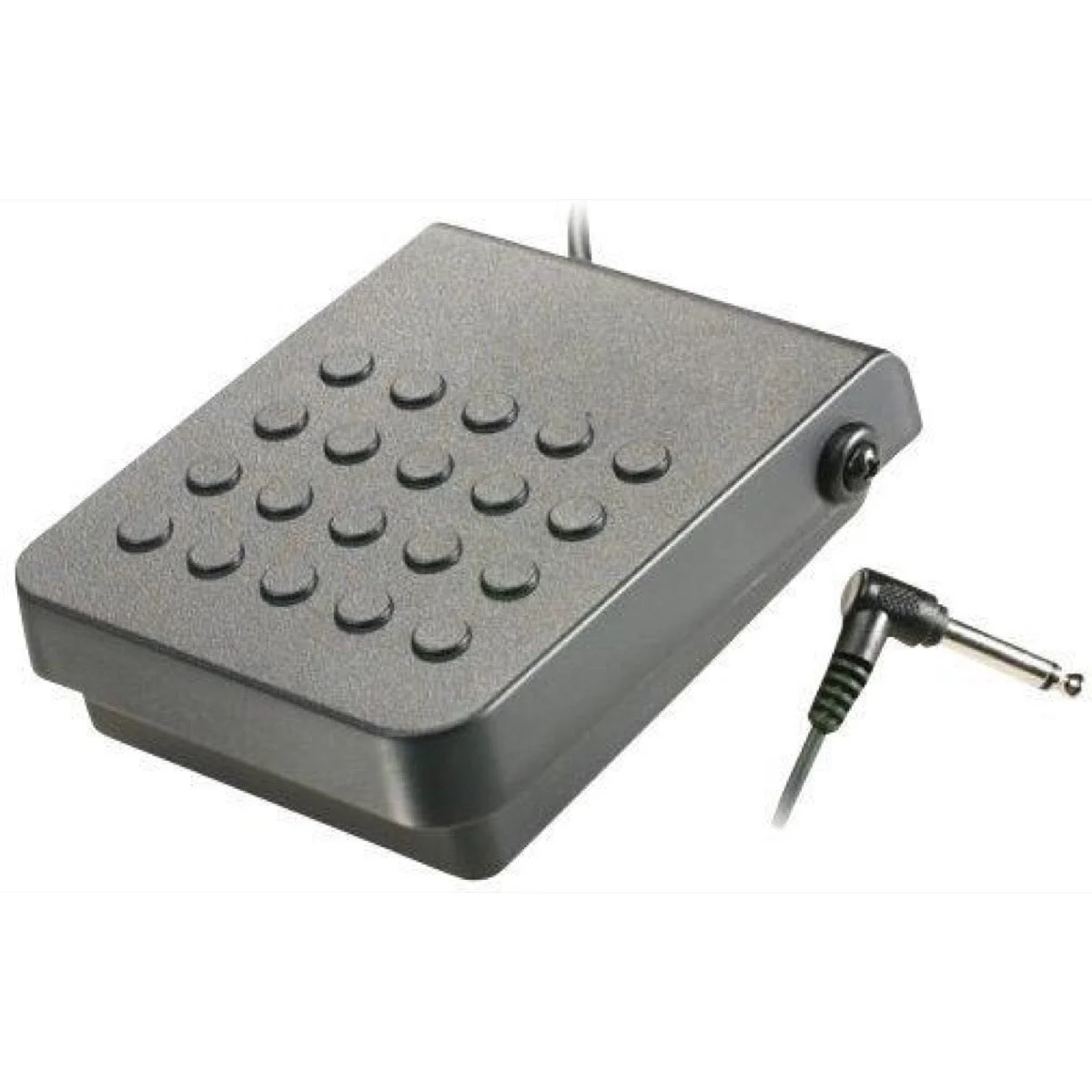 Casio SP3R Sustain Pedal