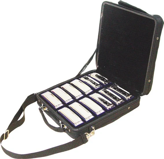 Blues King BK-520-SET Harmonica Set