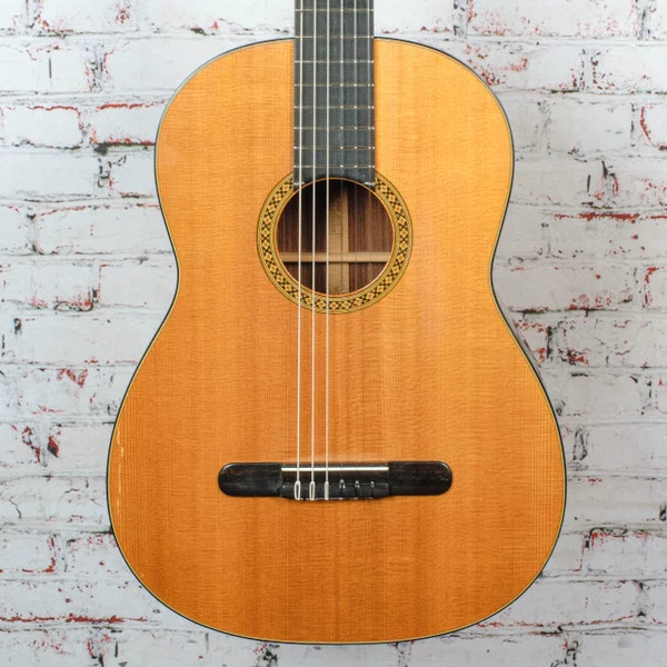 Martin- 1975 N-20 Nylon String Classical Guitar -w/ Cedar Creek Case -x5917 VINTAGE