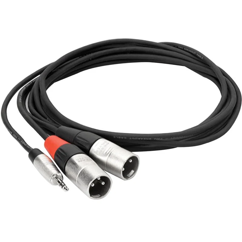 Hosa REAN Pro Stereo Breakout Mini TRS to Dual XLR Male Cable, HMX-006Y, 6 Foot