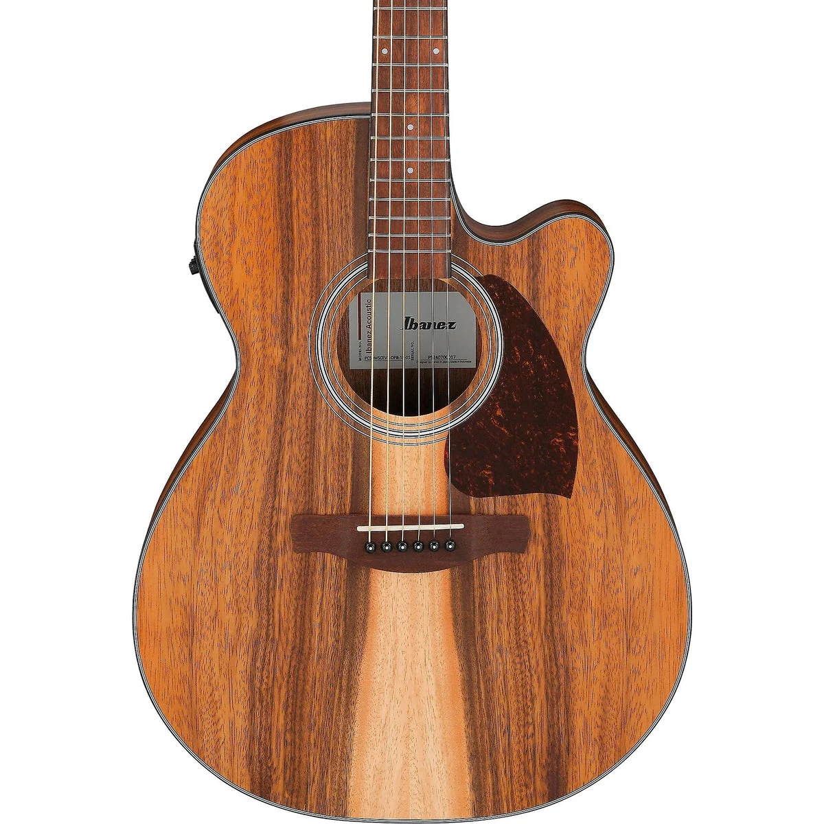 Ibanez PC50WSCE Acoustic-Electric Guitar, Open-pore Natural