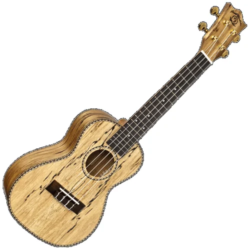 Amahi SNAILSPAUKC Snail Spalted Maple Concert Ukulele, Case Included