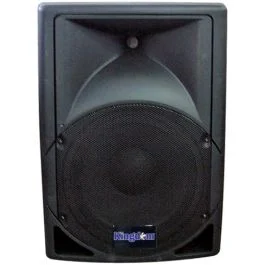 Kingdom Versa Pro Passive Loud Speaker Monitor - 15 Inch