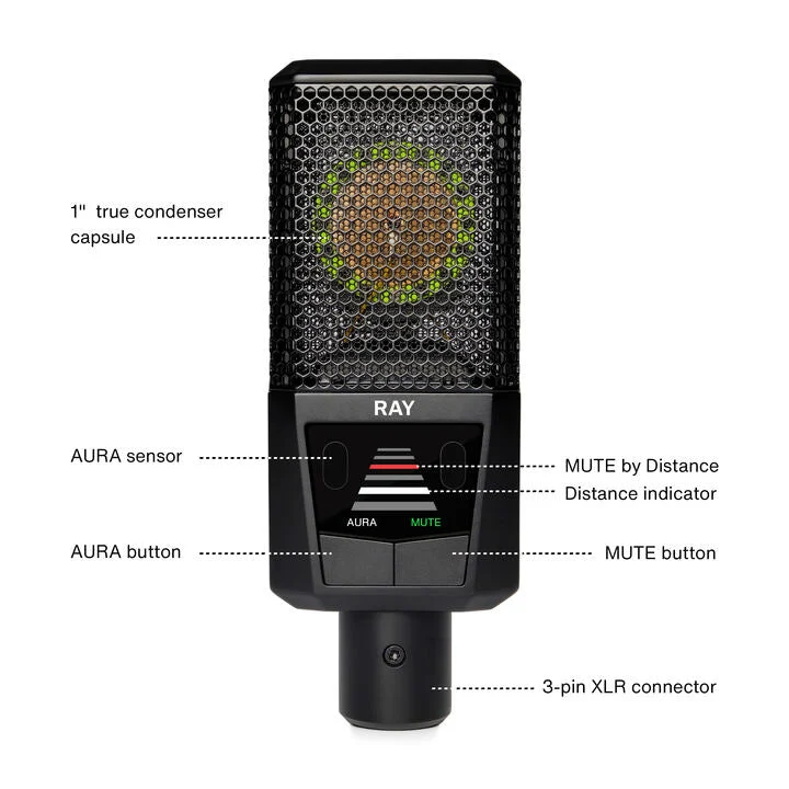 Lewitt Ray True Condenser Microphone w/AURA Technology