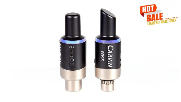 WM5 Wireless Microphone System